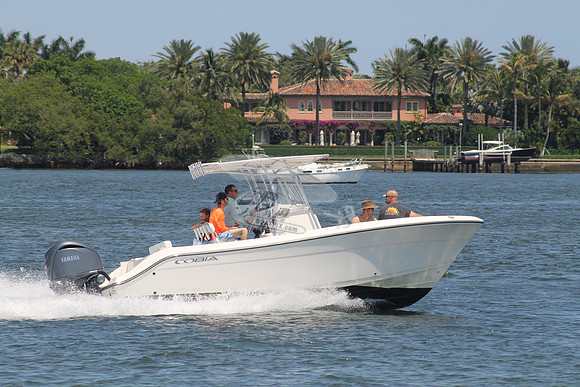 COBIA.09