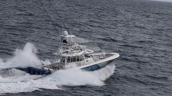 FFMD.EVERGLADES.4 YAMAHA BLUE.2815