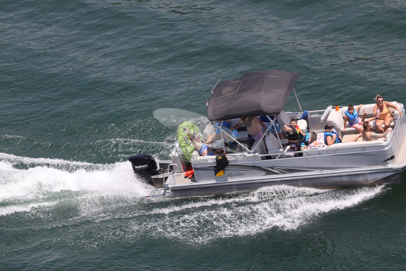 avalon.gray.black suzuki.5646