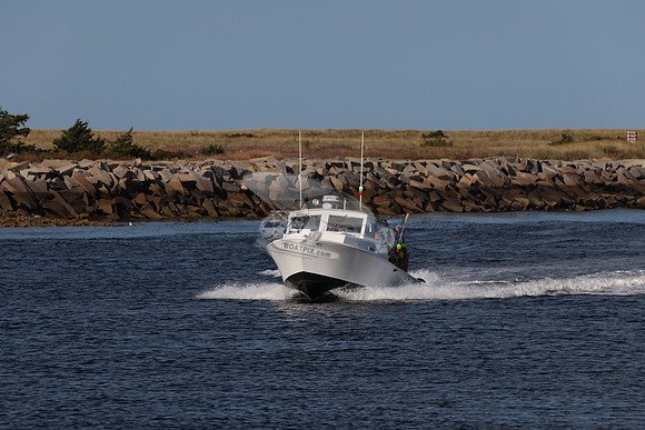 ms8866hy.01