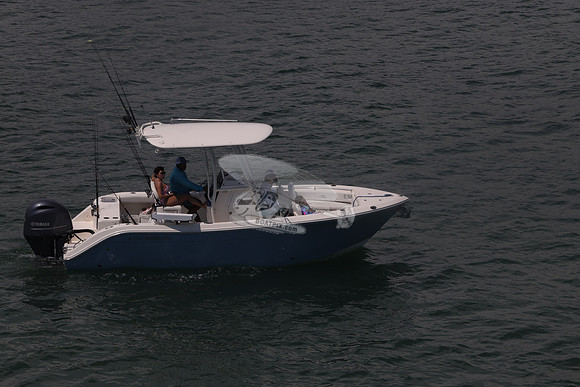 cobia.one yamaha.20