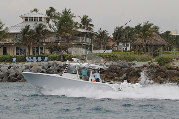 CRY..YELLOWFIN.09