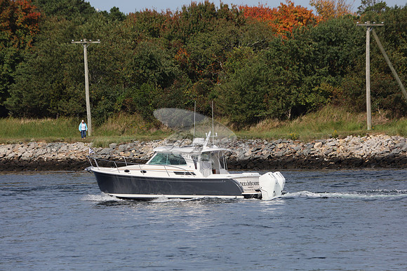 beech bound.manchester by the sea.4527