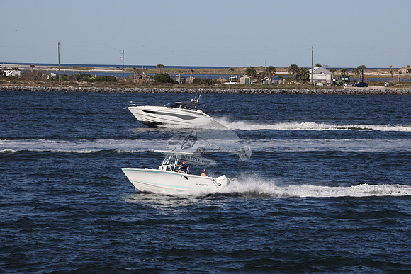 BLACKFIN.FL..2