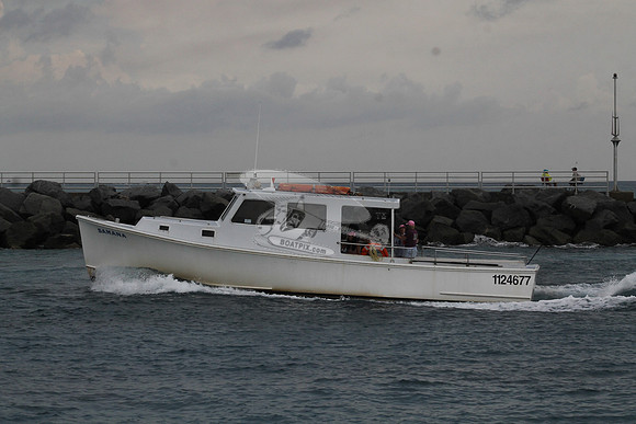 1124677.SAMANA.08