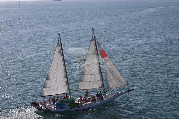 00000.3 sails.8285