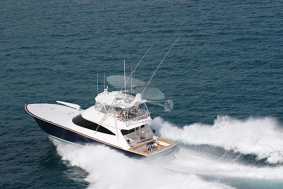 fins up.5876