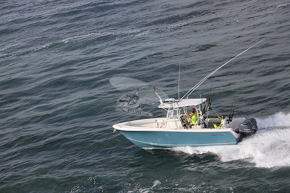 --2871ah.sailfish.blue hull.2787