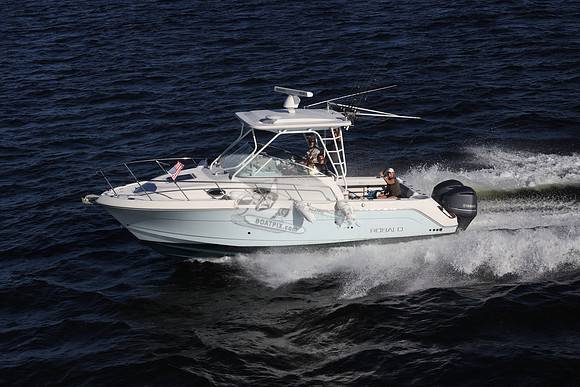 ACCI-DENTAL.JAX FL.ROBALO.11