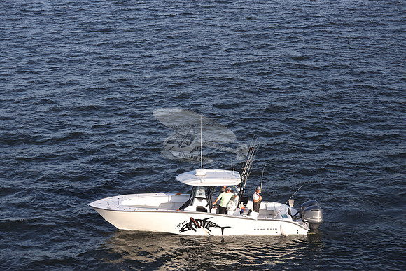 BADFISH.SOUTHPORT SC.356