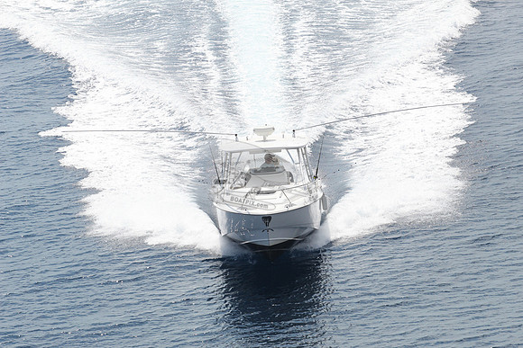 1293867.reel life.boston whaler.22