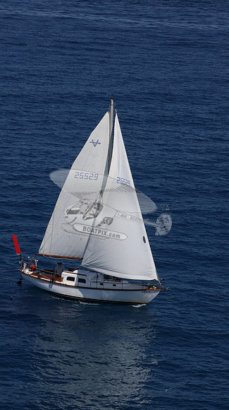 25529.AL0021RS.12