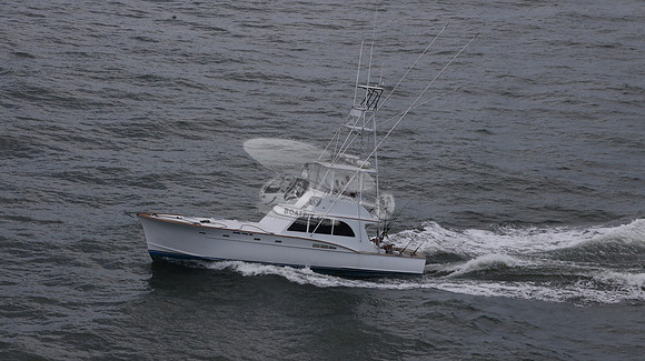 ballie who iii.islamorada fl.9506