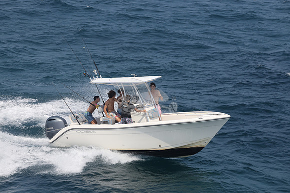 COBIA.WHITE.17