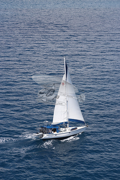 CAROLINE.C42.15