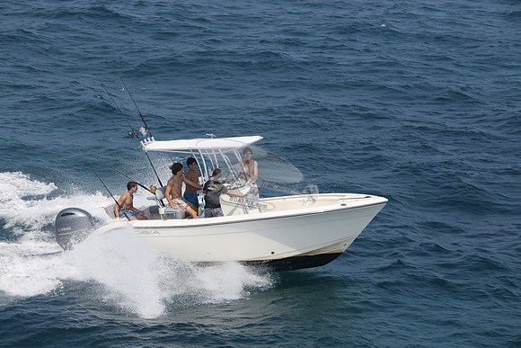 COBIA.WHITE.14