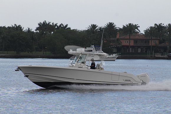 BOSTON WHALER.05