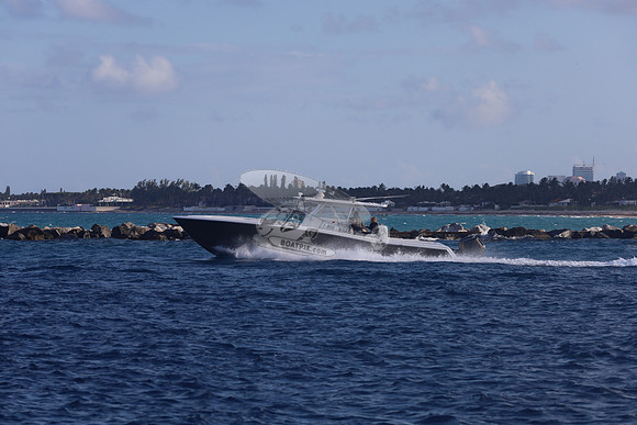 Caryali.02