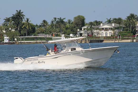 FL1714NS.06