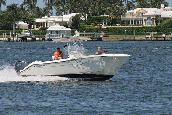 COBIA.04