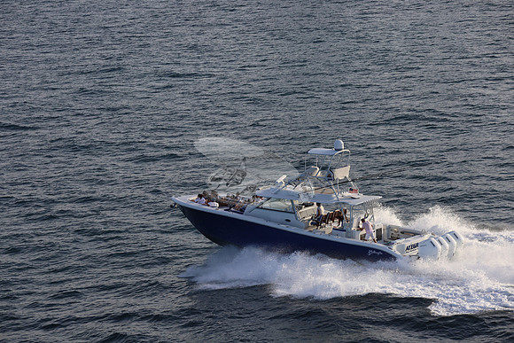 alegrias.bay harb.yellowfin.04