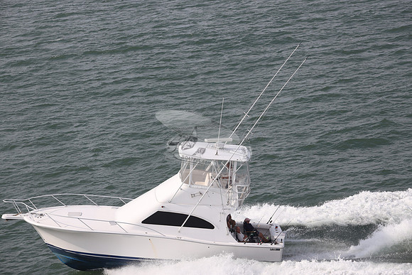 BARE OL CUDA.INDIAN RIVER DE.LUHRS.10