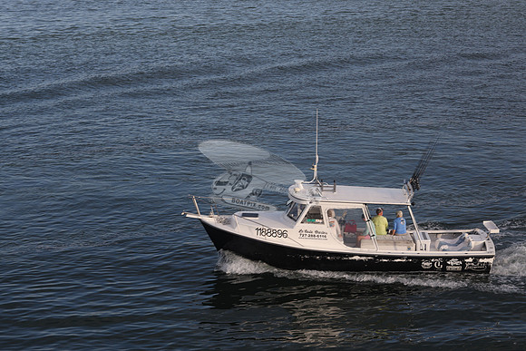 1188896.fish tales.treasure island fl.9228