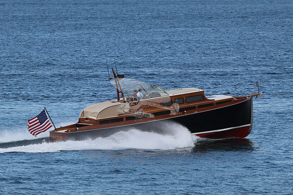 Avocette.17