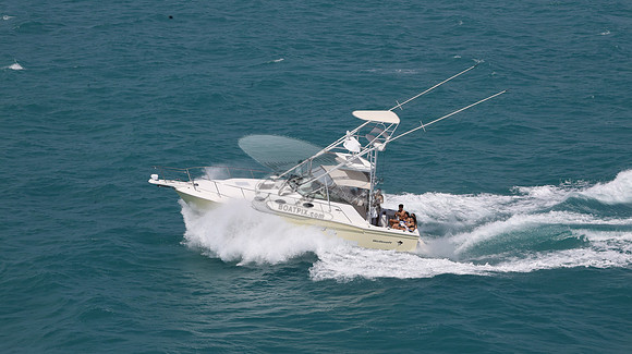 fl0812mu.1617