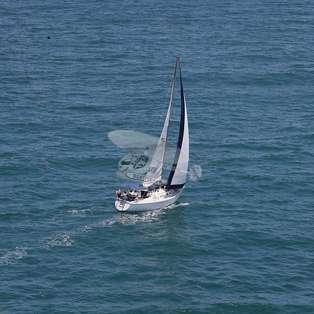 422.FL8313SN..SPIRIT OF THE WIND.13