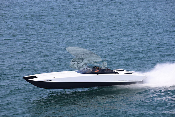 al0596rg.01
