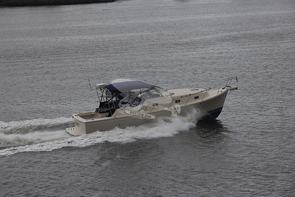 DIAMONDBACK.KENT ISLAND MD.4