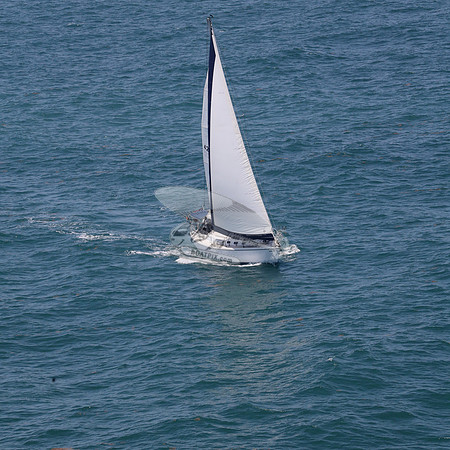 422.FL8313SN..SPIRIT OF THE WIND.43