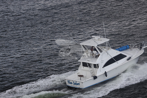 blue safari.laud.ocean.23