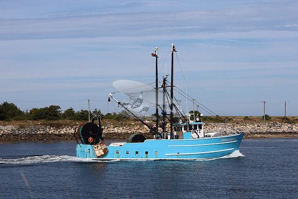 620472.marguerite c.4886