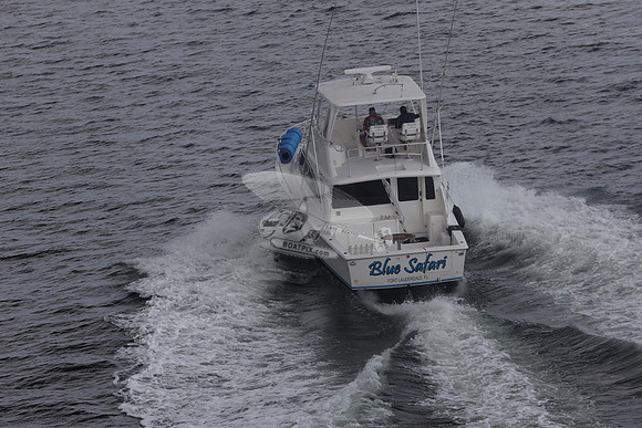 blue safari.laud.ocean.10