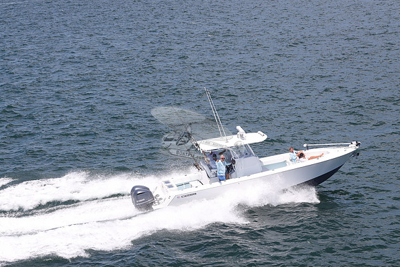 Contender.2 yamaha.12