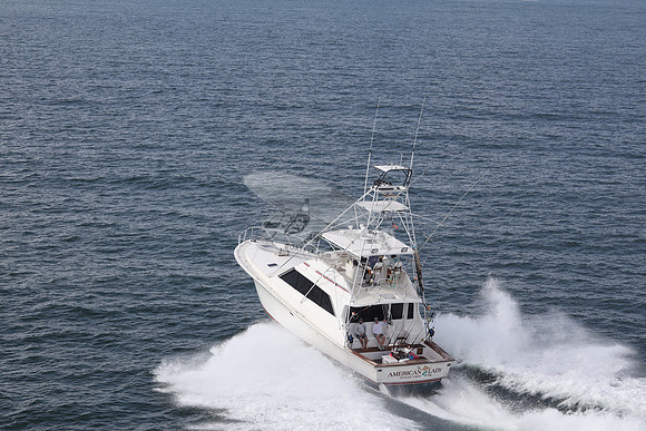 american lady.ocean view de.2192
