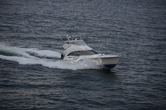 Fortuna.8