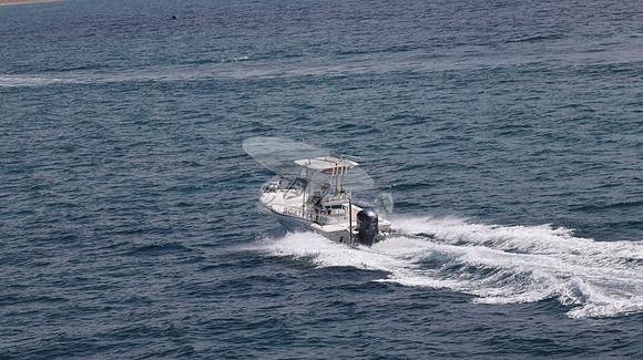 FL0364TD.205