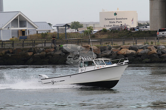 dl65j.hawk 245.3755