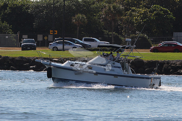fl2331gl.5
