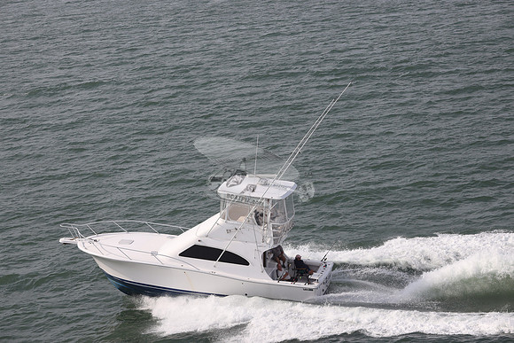 BARE OL CUDA.INDIAN RIVER DE.LUHRS.07