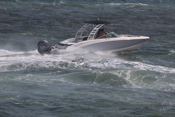 CHAPARRAL.GRAY W BLACK TOP.08