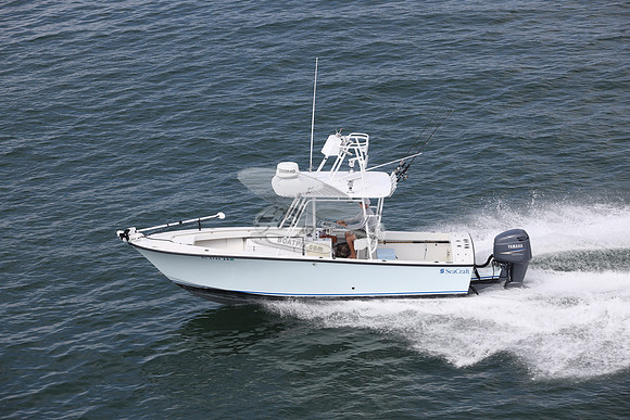 DL5745AH.08