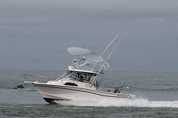 dl8.grady white.4496