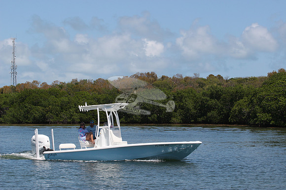 fl5682rc.0302