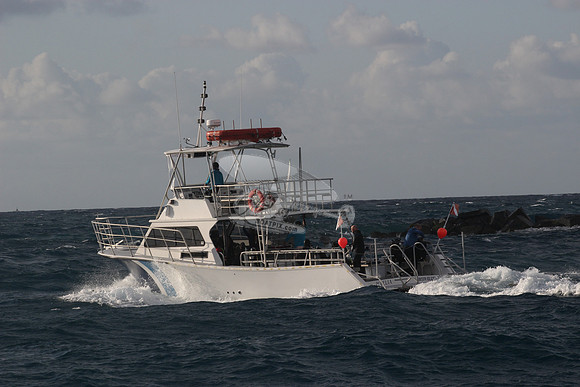 aurelia.singer island.10