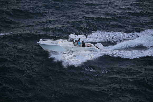 contingent seas.belleair bluffs .9028