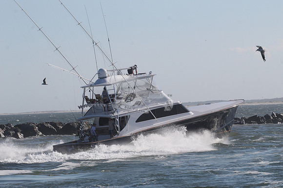 black jack.8009